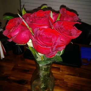 Meet your Posher, Marlene